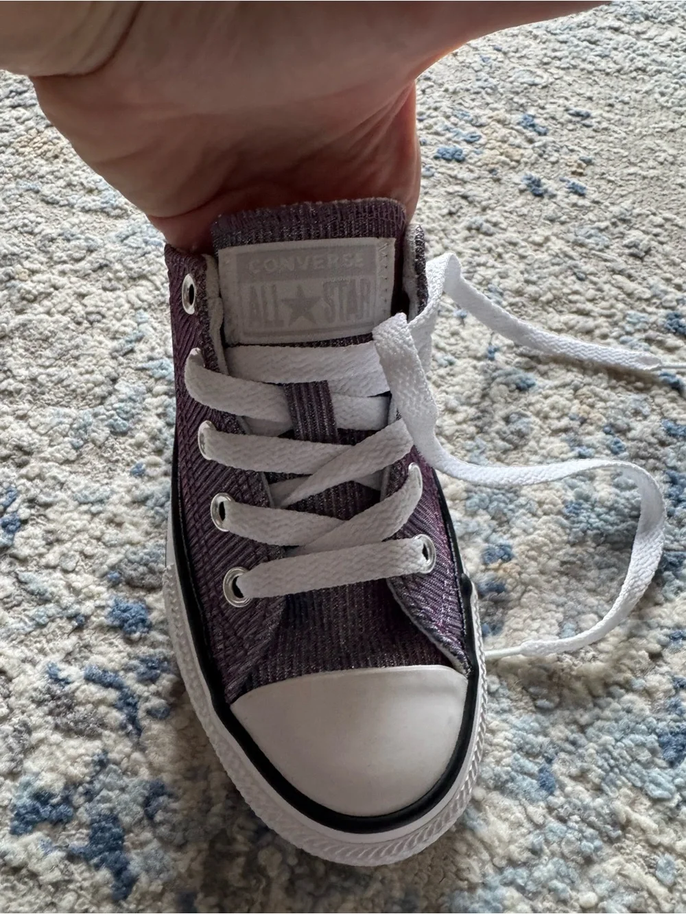 Converse Low-Top Canvas Sneakers in Metallic Purple, NWOT